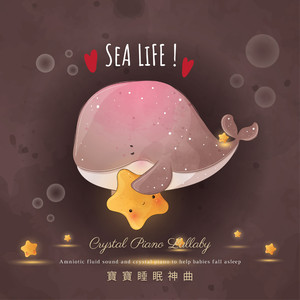 2019最新国产不卡
