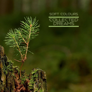 日韩操逼大全。
