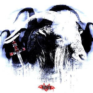 黄涉应用网站在线观看
