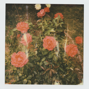 7M精品福利视频导航
