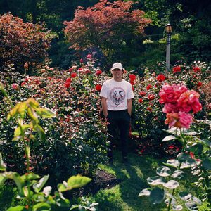 茄子视频苏州晶体红酒美食
