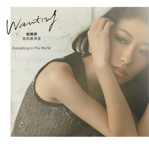 人妻熟女大奶子
