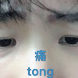 董卿被躁得嗷嗷叫
