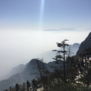 麻豆视传媒短视频免费网站在线看
