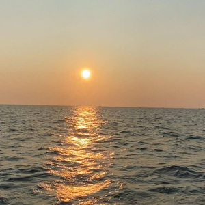 中国女人内谢69xxx免费
