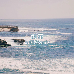 董卿被躁得嗷嗷叫
