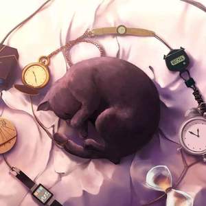 天川夏凪酒井圆软体多少钱一瓶
