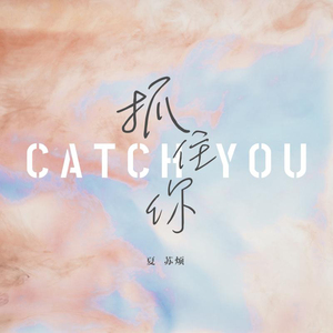 黄涉应用网站在线观看
