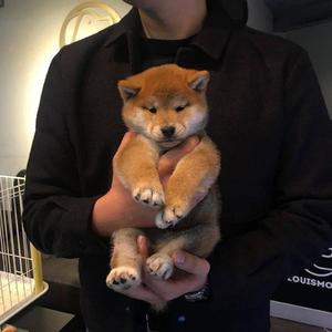 7M精品福利视频导航
