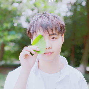 免费黄色精品网站在线观看
