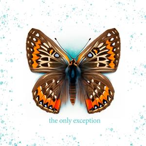 麻豆视传媒短视频免费网站在线看
