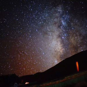 刘涛A1换脸一级毛片
