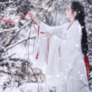 有免费的成人av在线网站
