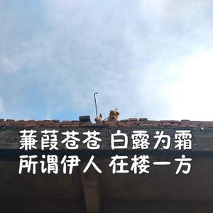 杨钰莹的婬奴生活一2
