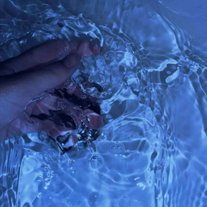 董卿被躁得嗷嗷叫
