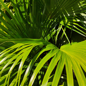 娜美吃路飞棍子漫画
