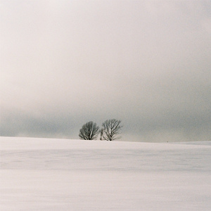 中国女人内谢69xxx免费
