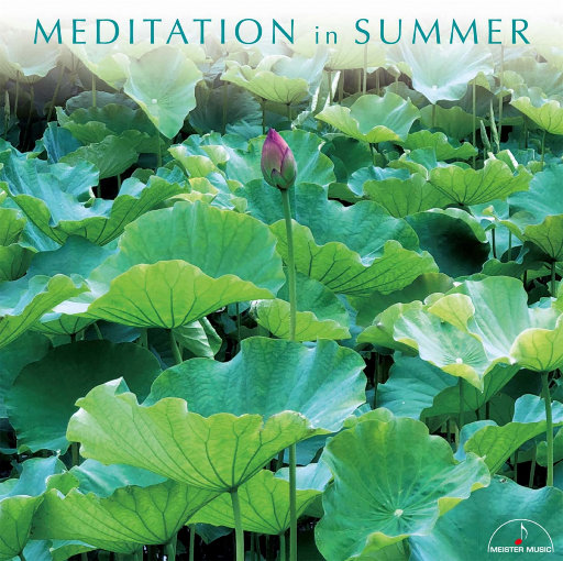 茄子视频苏州晶体红酒美食
